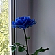 Роза синяя "Царица ночи". Цветы. Юлия Требунцова (flowershouse). Интернет-магазин Ярмарка Мастеров.  Фото №2