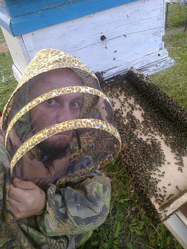 #дикий_пасечник :))
