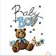  Детский пододеяльник Baby Boy (110 х144), Пододеяльники, Барнаул,  Фото №1