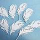 'Feathers' cutting, Card, Moscow,  Фото №1