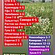 Заказать Тарелка керамическая. taceramiks64. Ярмарка Мастеров. . Тарелки Фото №3