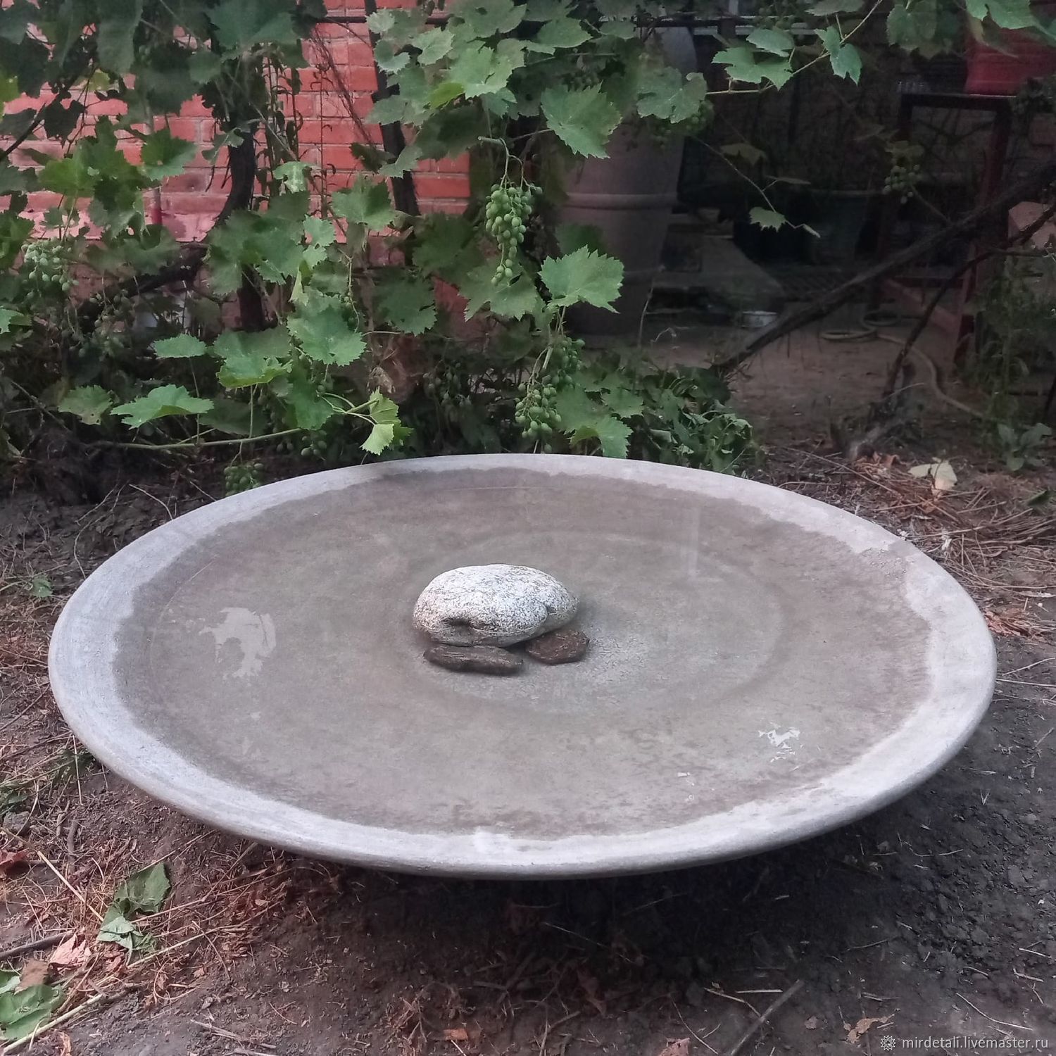 Водная чаша (суккулентница) "Лимнада" в интернет-магазине на Ярмарке ...