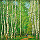 Birch grove, Pictures, Krasnodar,  Фото №1