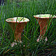Chanterelles mushroom goblets (medium), Wine Glasses, Moscow,  Фото №1