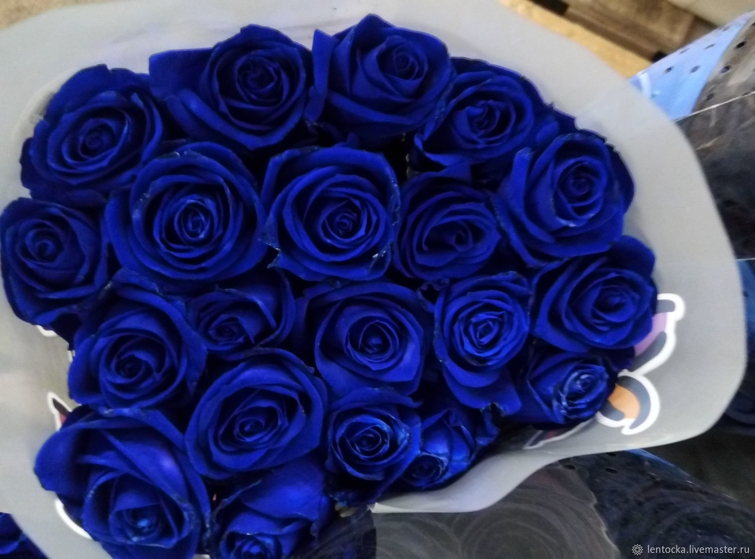 Розы Голубые Фото И Описание