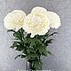 Хризантема из фоамирана, Цветы, Ульяновск,  Фото №1