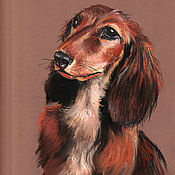 Картины и панно handmade. Livemaster - original item Pictures: Dog Dachshund. Original. Pastel.. Handmade.