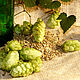 Oily and combination natural hop Cones, Tonics, Moscow,  Фото №1