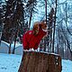 Зимний комбинезон. Одежда для собак. Басенджи. Одежда для питомцев. Зооателье 'Веселый хвост'. Интернет-магазин Ярмарка Мастеров.  Фото №2