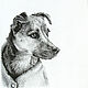 Portrait of an animal by photo dots. Pictures. Angelina's shop. Online shopping on My Livemaster.  Фото №2