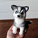 Husky dog symbol of the year toy made of wool, Felted Toy, Moscow,  Фото №1