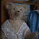 Мишка Марфа. Мишки Тедди. Елена Перминова (elenaperminovabears). Ярмарка Мастеров.  Фото №6
