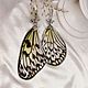 Earrings with real butterfly wings. Earrings. ГЕРБАРИКА. My Livemaster. Фото №4