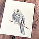 'Gray' pencils, graphics (birds). Pictures. Nadezda Perova. My Livemaster. Фото №4