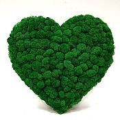 Сувениры и подарки handmade. Livemaster - original item Heart made of stabilized moss. Handmade.