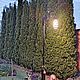 Садово-парковый фонарь, Светильники садовые, Ульяновск,  Фото №1
