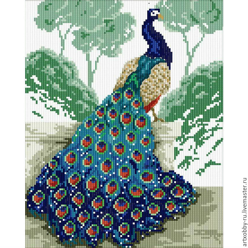 Павлин схема 1 класс. Карточка павлин. Павлин задания для детей. Павлин схема слова 1 класс цветная. Вышивка крестом павлины схемы.