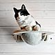 Гамак с прозрачной лежанкой для кошек «Тоумей мини»(малый), Гамак для питомца, Москва,  Фото №1