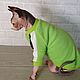 Clothing for cats 'Set - jacket cap green apple'. Pet clothes. Happy-sphynx. My Livemaster. Фото №4