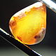 Мексиканский Матричный Огненный Опал Кантера 3,5 ct. Кабошоны. Сокрытое в Листве. Ярмарка Мастеров.  Фото №4