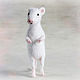 White mouse on hind legs