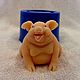 Silicone mold for soap and candles ' Pig', Form, Arkhangelsk,  Фото №1