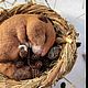 Спящая орешниковая соня (коллекционная интерьерная работа). Войлочная игрушка. Синица-мастерица. Ярмарка Мастеров.  Фото №5