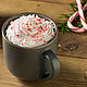 Отдушка 143 Мятный мокко CandleScience (Peppermint Mocha), Материалы для свечей, Красноярск,  Фото №1