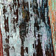Painting 'Birches' oil on canvas 50h70 cm. Pictures. vestnikova. My Livemaster. Фото №6