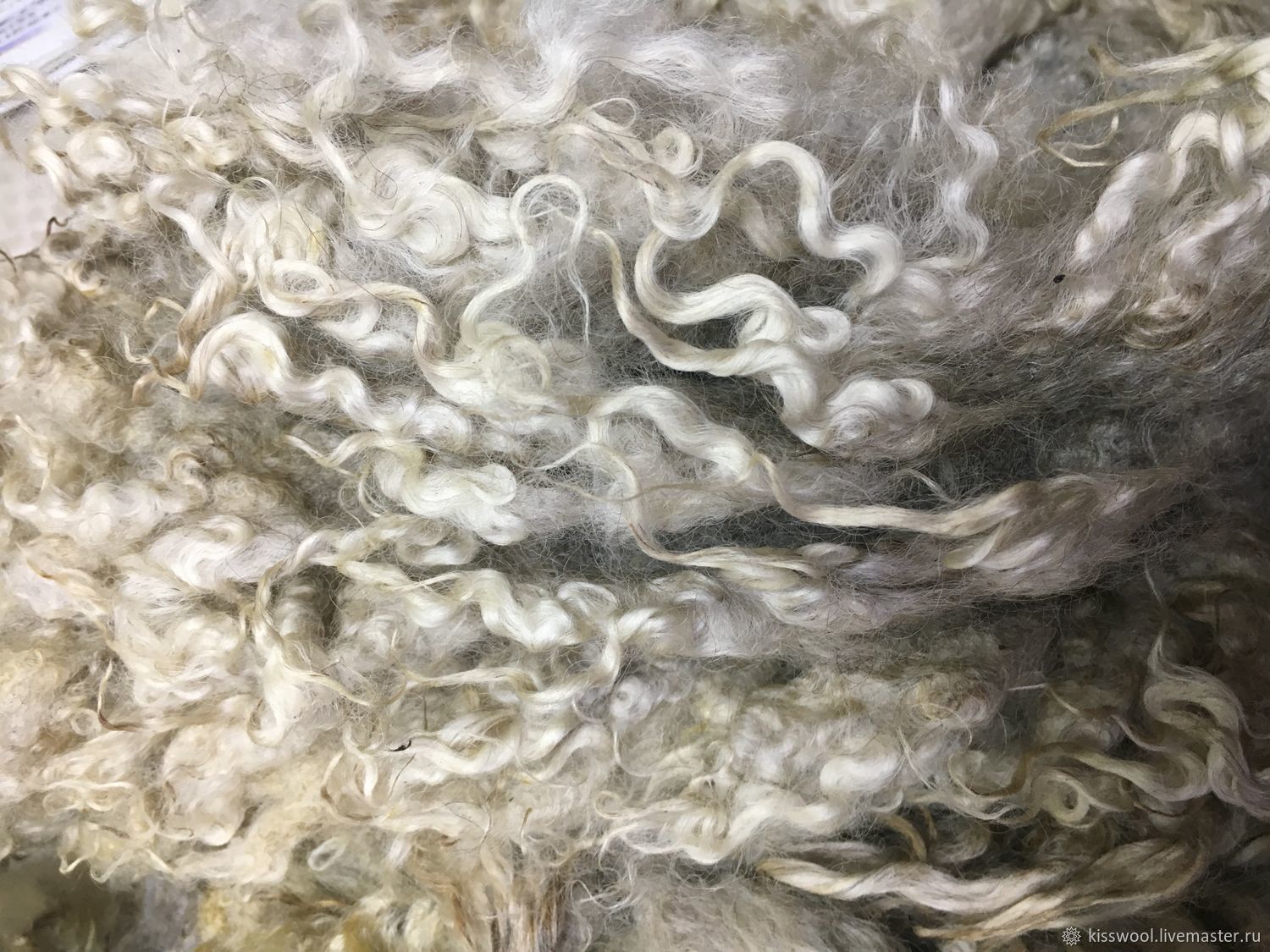 Fleece Lester A White New Zealand. 50 grams, Wool, Berdsk,  Фото №1
