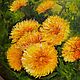 Order  ' Spring dandelions' oil painting. flamemilady. Livemaster. . Pictures Фото №3