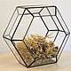 The Floriana for plants Honeycomb box . Geometric vase for Floriana, Pots1, St. Petersburg,  Фото №1