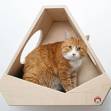 Как сделать домик для кошки из картона своими руками
