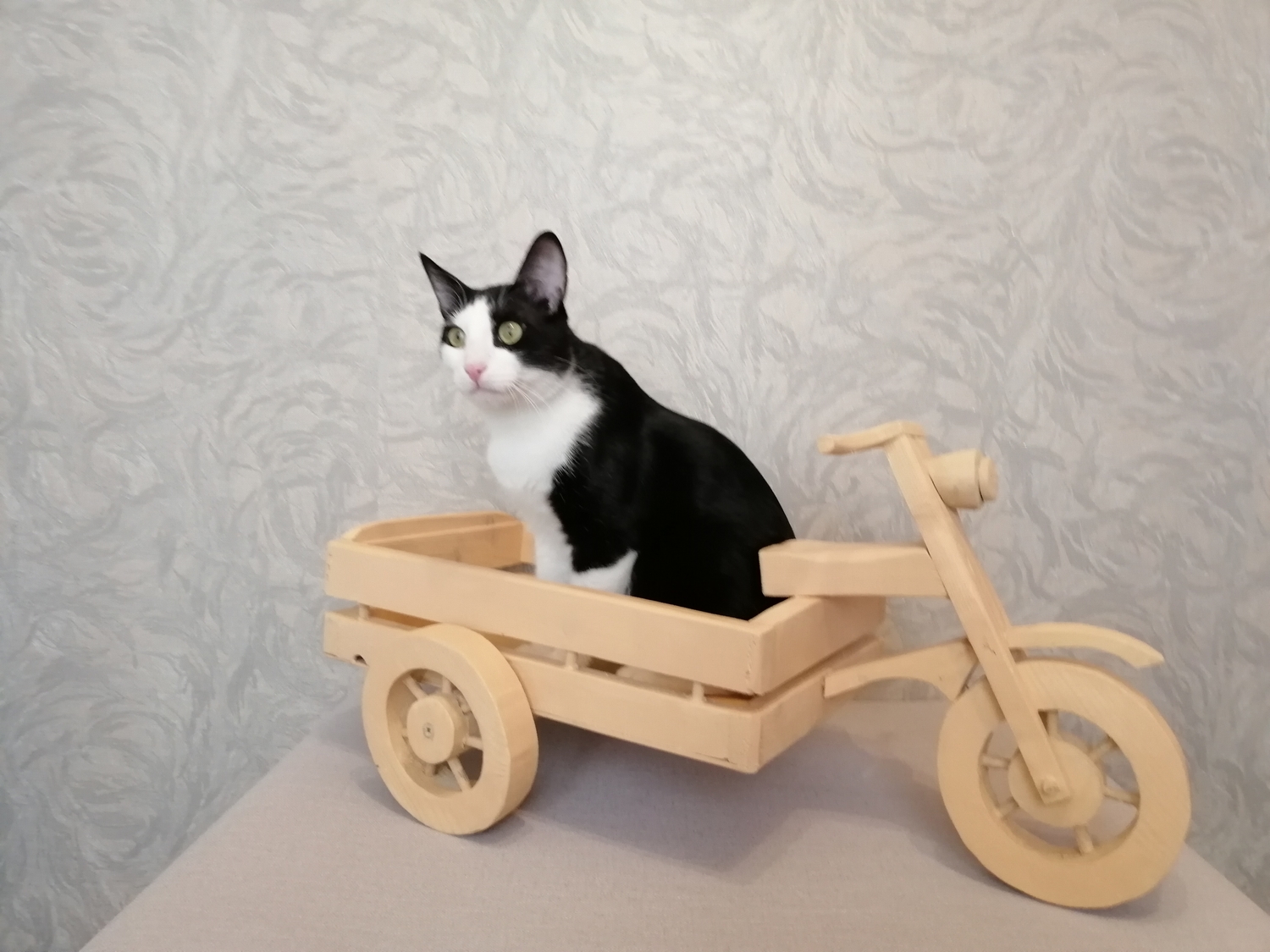 Мой профиль