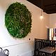 Круглое панно из мха. Фитокартины. Nature Walls|Вертикальное озеленение. Интернет-магазин Ярмарка Мастеров.  Фото №2