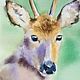 Painting watercolor 'Deer', Pictures, Kansk,  Фото №1