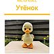 Мастер-класс по вязанию утенка крючком, Схемы вязания, Псков,  Фото №1