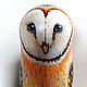 Order Matryoshka Owl Barn Owl 3-seater Birds. matryoshka (azaart). Livemaster. . Dolls1 Фото №3