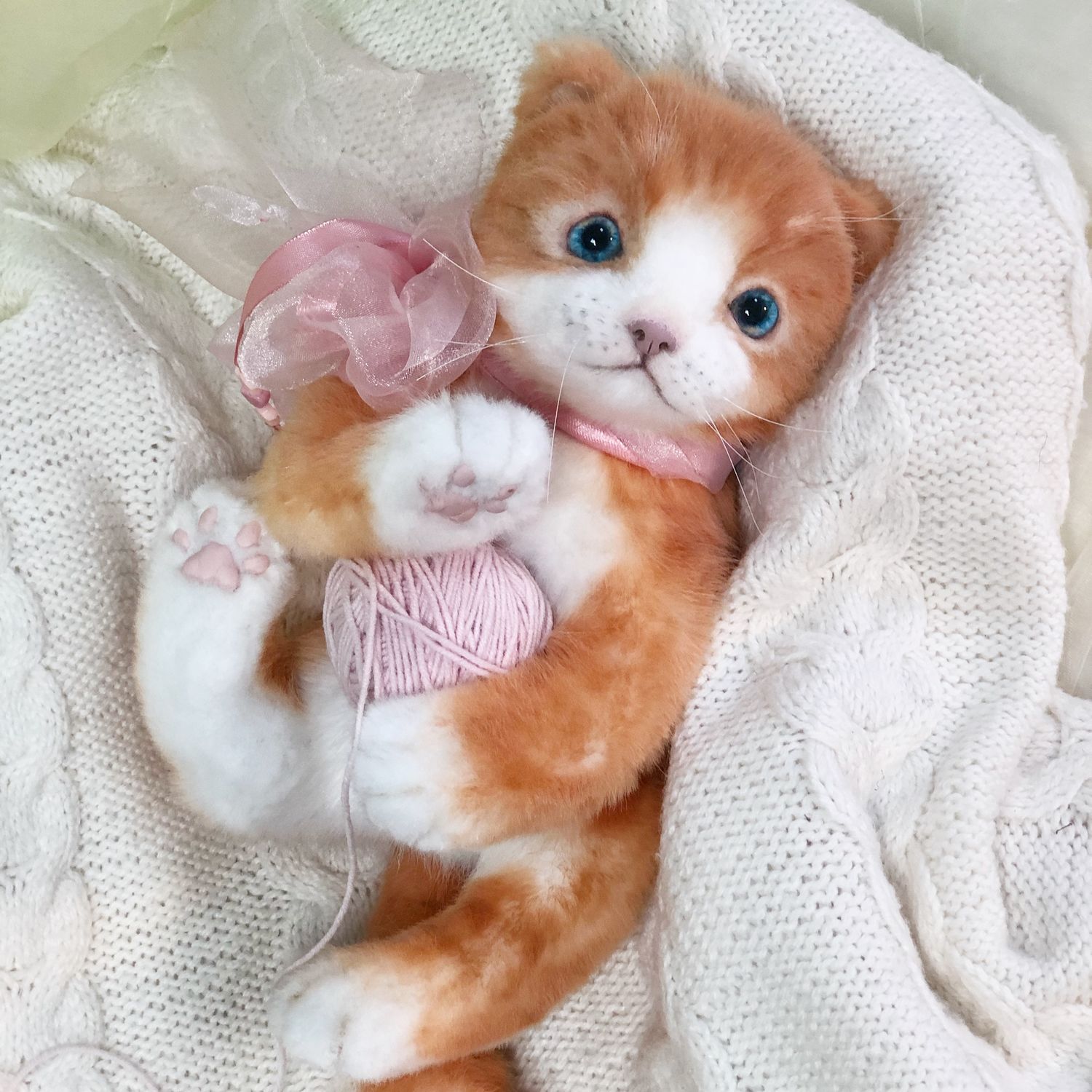 Купить Рыжего Котенка В Новосибирске
