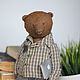 Teddy Bear Theodore, Teddy Bears, Moscow,  Фото №1
