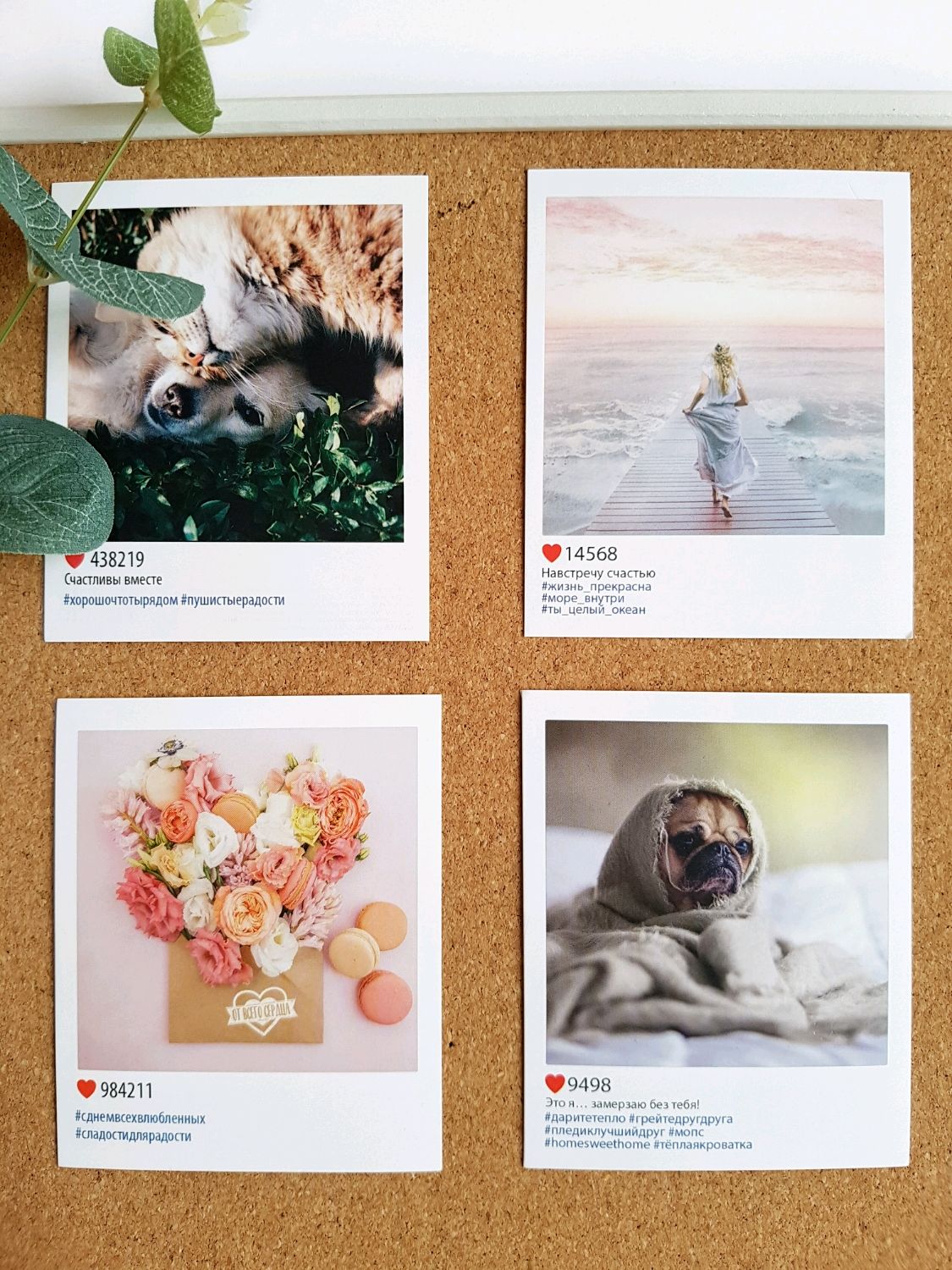 ��������, ��� ��������� �������� � ����������