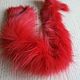 Finnish Arctic Fox red flap /natural fur, Fur, Moscow,  Фото №1