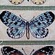Вышитая картина "Бабочки". Картины. О.Vishnya (вышивка, бисер, вязание). Ярмарка Мастеров.  Фото №4
