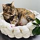 Вязанная корзинка для кошки из шерсти 40см, Лежанки, Ставрополь,  Фото №1