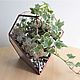 Order The Floriana with ivy. Hedera and ficus. Glass Flowers. Livemaster. . Plants Фото №3