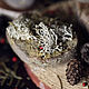 Сказочный лес. Мыло. Alexandra Natural Experiments. Ярмарка Мастеров.  Фото №6