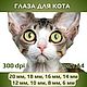 Радужки для кукол и игрушек. Глаза для кота - №6, Шаблоны для печати, Донецк,  Фото №1
