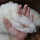 Wool 19-22 MK Merino for felting and spinning, white cardoons, Carded Wool, Cherkessk,  Фото №1