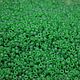 10 gr 10/0 Czech Preciosa beads 50100m green matte prozr, Beads, Chelyabinsk,  Фото №1