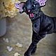 Copy of Copy of Copy of Copy of Copy of Copy of Cat Mystical Mystery. Stuffed Toys. klemabears. My Livemaster. Фото №5
